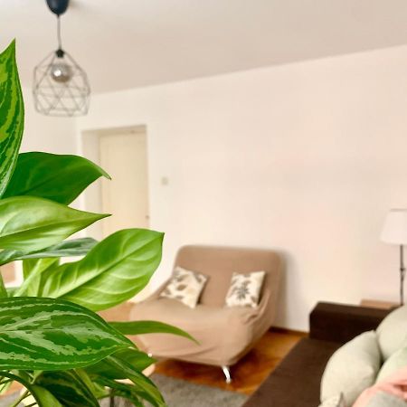 Star Apartment 2 เบลเกรด ภายนอก รูปภาพ