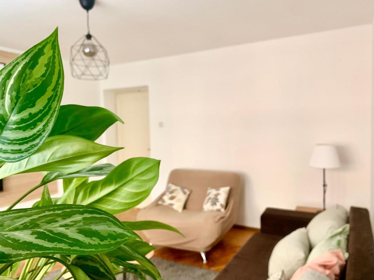 Star Apartment 2 เบลเกรด ภายนอก รูปภาพ